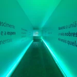 Convenção de vendas Herbarium 2019 - Produção, Criação e Ativação VamoQVamo