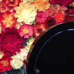 Primavera com Ela - Criação e Ativação VamoQVamo