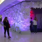 Primavera com Ela - Criação e Ativação VamoQVamo