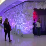 Primavera com Ela - Criação e Ativação VamoQVamo