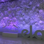 Primavera com Ela - Criação e Ativação VamoQVamo