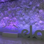 Primavera com Ela - Criação e Ativação VamoQVamo